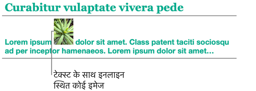 आकृति को टेक्स्ट के साथ इनलाइन में रखा गया है.