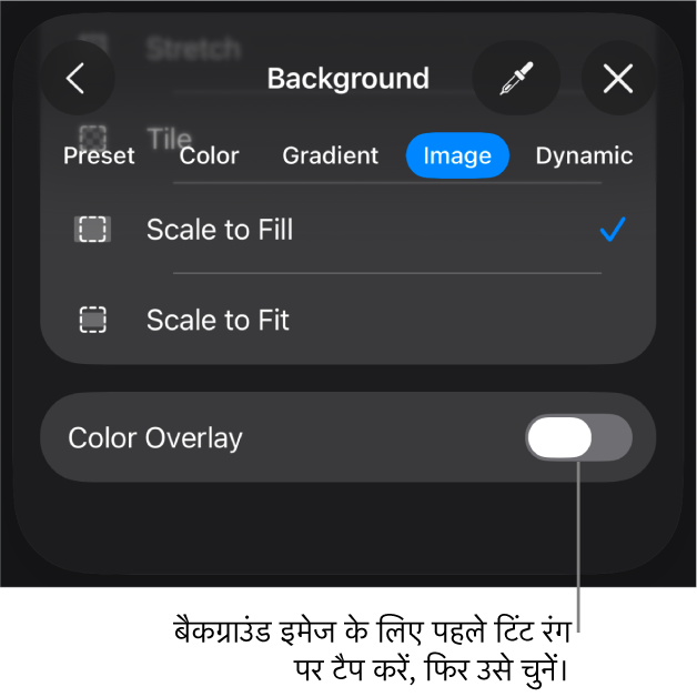 बैकग्राउंड नियंत्रण, जिनके सबसे निचले भाग में इमेज को स्लाइड बैकग्राउंड और रंग ओवरले नियंत्रण के रूप में सेट किया गया है।
