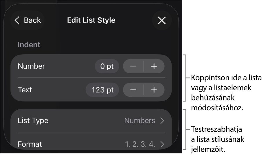 A Listastílus szerkesztése menü a lista típusának és a megjelenésének szerkesztésére szolgáló vezérlőkkel.