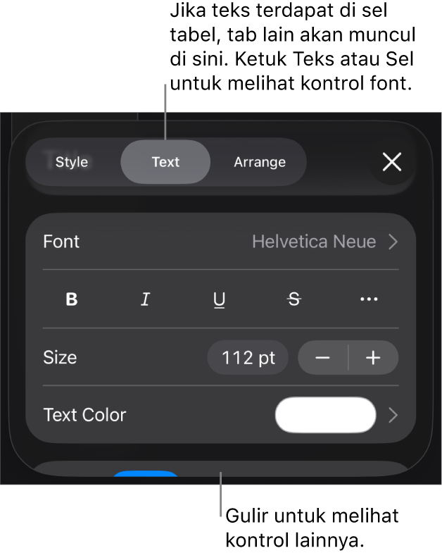 Kontrol teks di menu Format untuk mengatur paragraf dan gaya karakter, font, ukuran, dan warna.