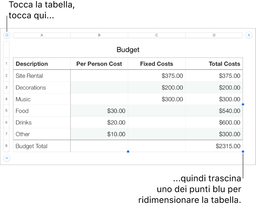 Tabella selezionata con punti blu per il ridimensionamento.