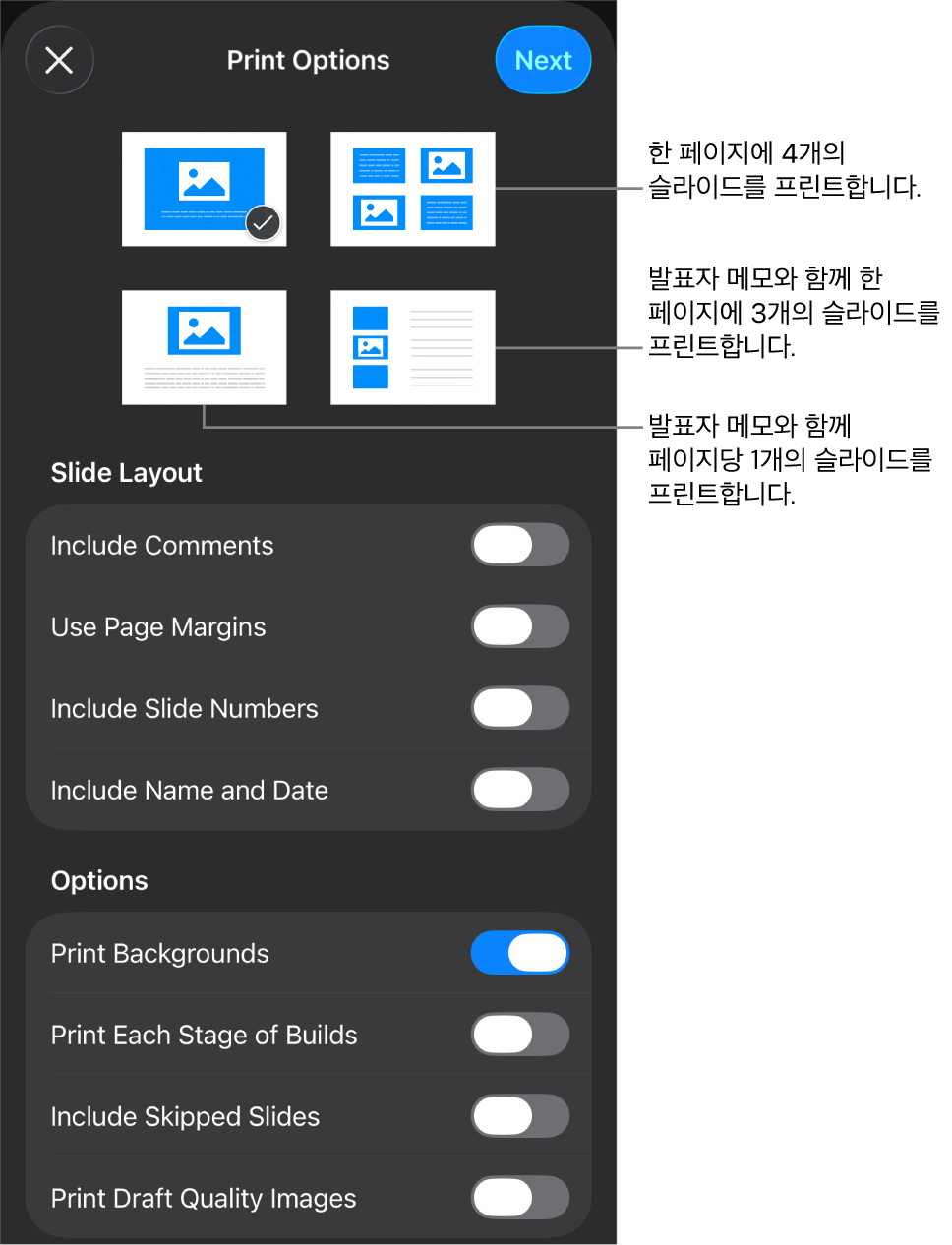 프린트 레이아웃 옵션.