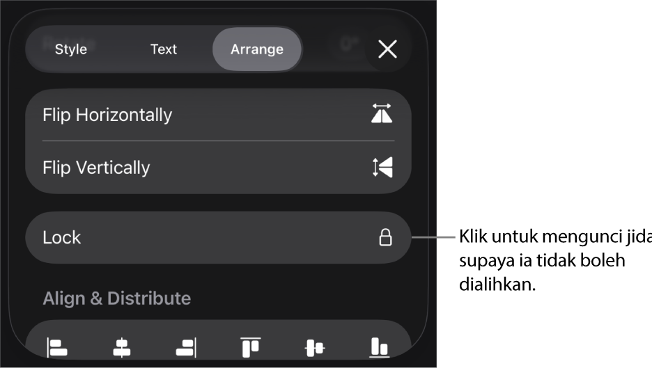 Kawalan Susun dalam menu Format dengan butang Kunci aktif.