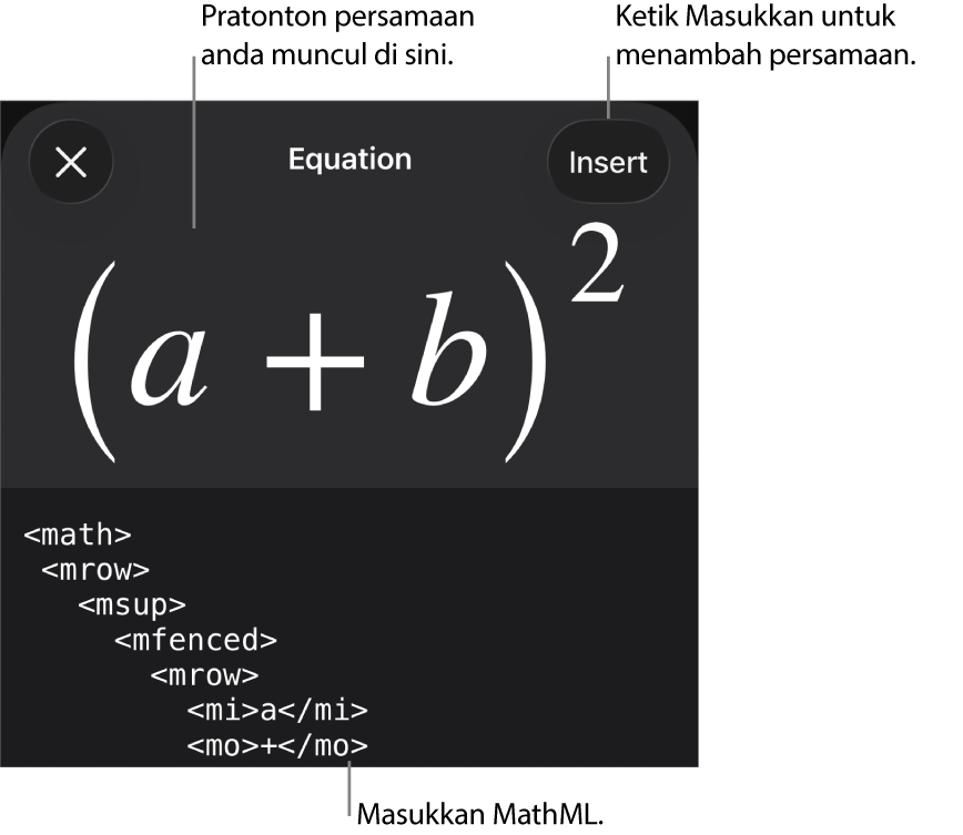 Dialog Persamaan, menunjukkan persamaan yang ditulis menggunakan perintah MathML manakala pratonton formulanya di atas.