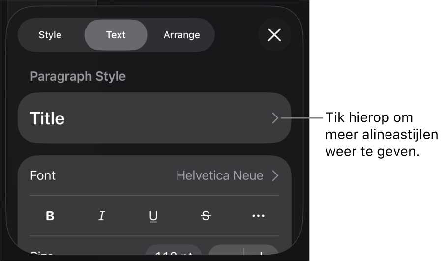 Het opmaakmenu met tekstregelaars voor het instellen van alinea- en tekenstijl, lettertype, lettergrootte en kleur.