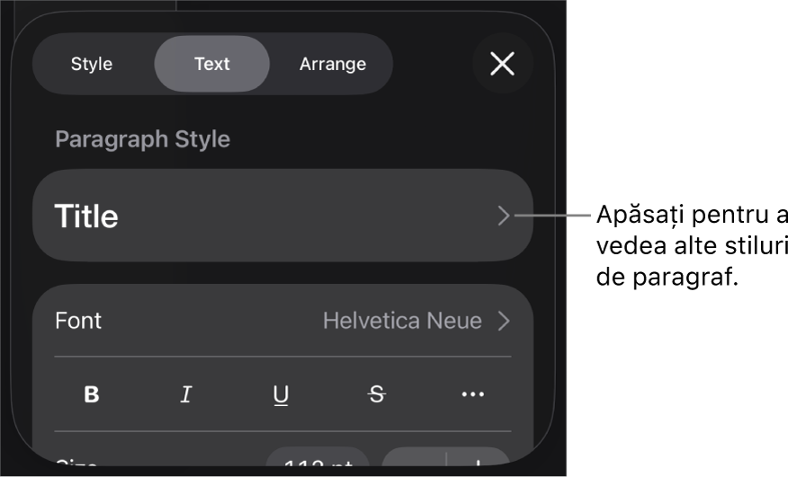 Meniul Format afișând comenzi de text pentru configurarea stilurilor, fonturilor, dimensiunii și culorii paragrafelor și caracterelor.