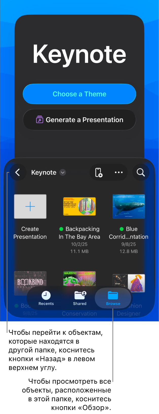 Режим просмотра в менеджере документов. В левом верхнем углу отображается кнопка «Назад», под ней находится поле поиска. В правом верхнем углу расположены кнопки «Добавить», «Еще» и «Пульт». Внизу экрана расположены кнопки «Недавние», «Общие» и «Обзор».