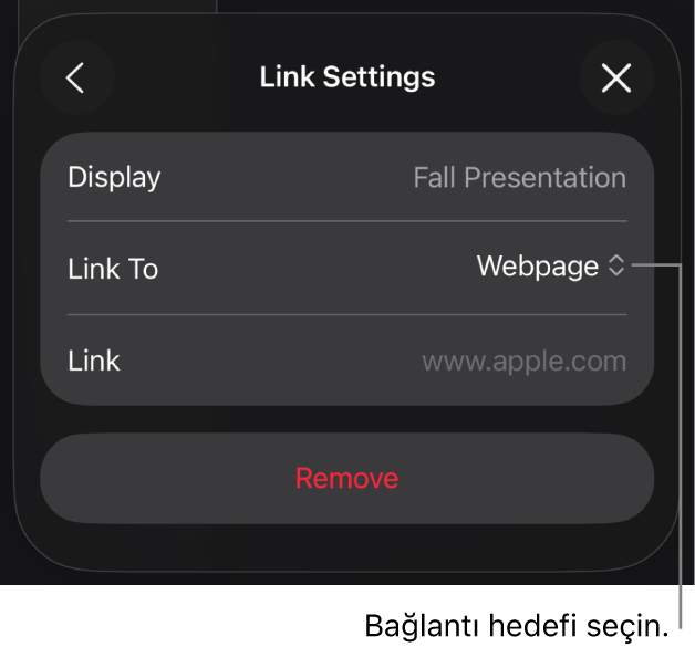Bağlantı Ayarları denetimlerinde Web Sayfası seçili, en altta ise Sil düğmesi bulunuyor.