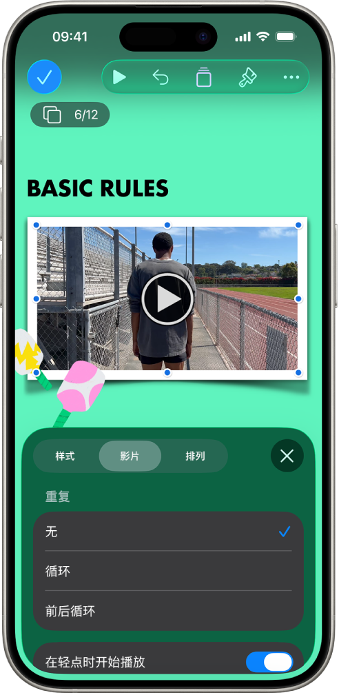 用于更改所选视频大小和外观的“格式”控制。控制顶部的“样式”、“影片”和“排列”按钮。
