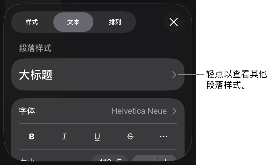 显示文本控制的“格式”菜单，用于设定段落和字符样式、字体、大小和颜色。