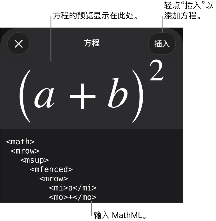 “方程”对话框，显示使用 MathML 命令所写的方程，以及上方公式的预览。