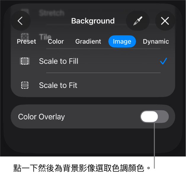 「背景」控制項目，其中一個影像已設定為投影片背景，且「色彩覆疊」控制項目位於底部。