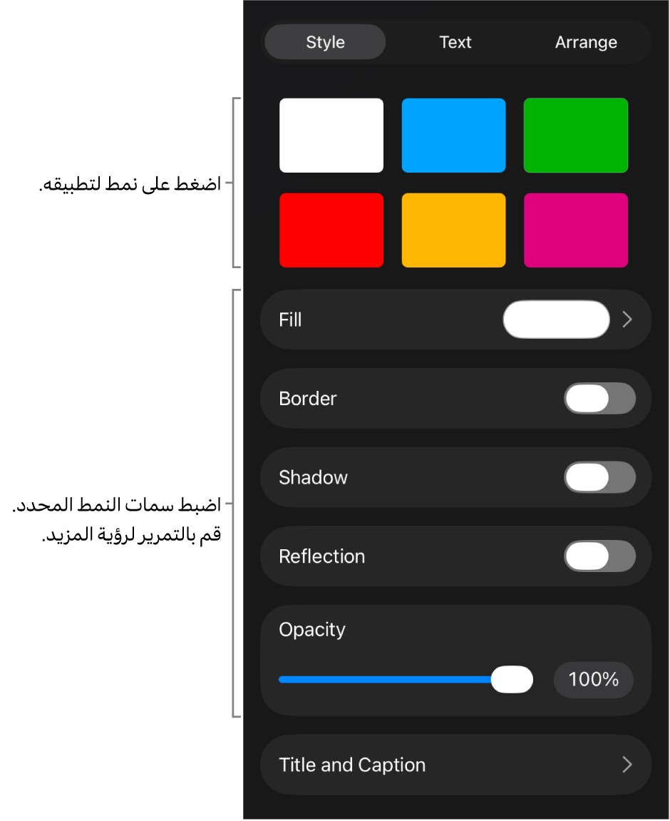 علامة تبويب النمط من قائمة التنسيق مع أنماط الكائنات في الجزء العلوي وعناصر التحكم أدناها لتغيير الحدود والظل والانعكاس والتعتيم.