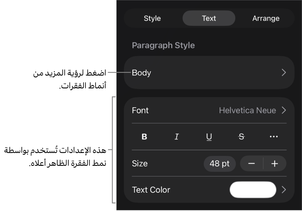 القائمة تنسيق تعرض عناصر التحكم في النص لإعداد أنماط الأحرف والفقرات والخط والحجم واللون.