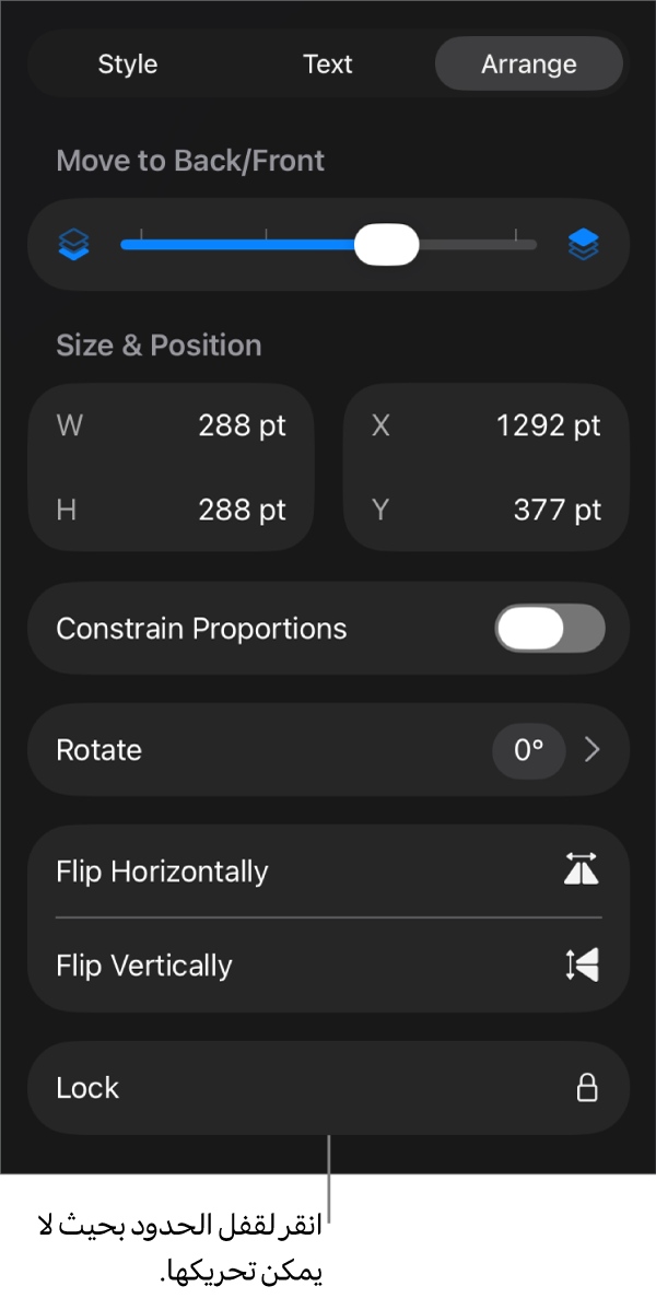 عناصر التحكم في الترتيب في قائمة التنسيق مع وضع وسيلة شرح على زر القفل.