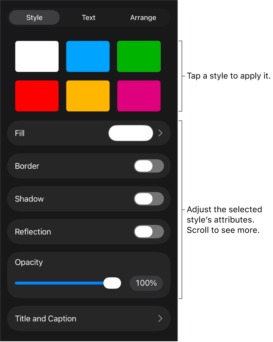 The Style tab of the Format menu with object styles at the top and controls below them to change the border, shadow, reflection and opacity.