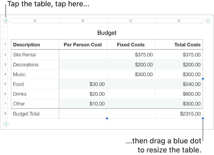 A selected table with blue dots for resizing.