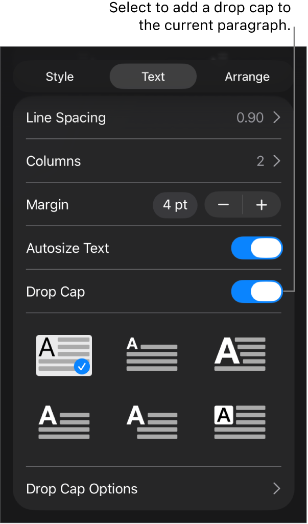 The Drop Cap controls located in the Text menu.