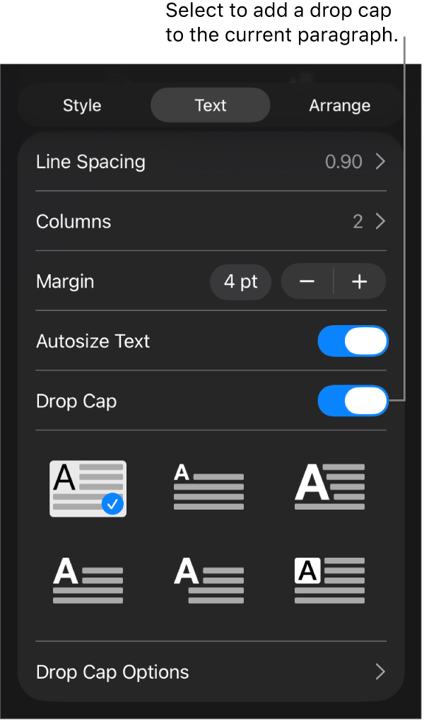 The Drop Cap controls located in the Text menu.