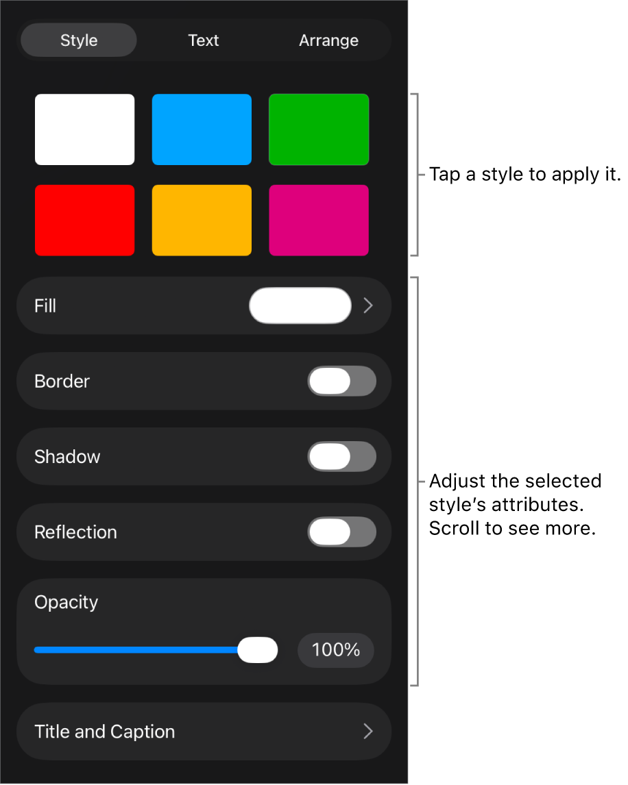 The Style tab of the Format menu with object styles at the top and controls below them to change the border, shadow, reflection, and opacity.