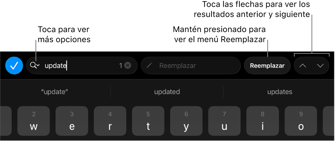Los controles Buscar y Reemplazar arriba del teclado con mensajes en los botones Opciones de Búsqueda, Reemplazar, Subir y Bajar.
