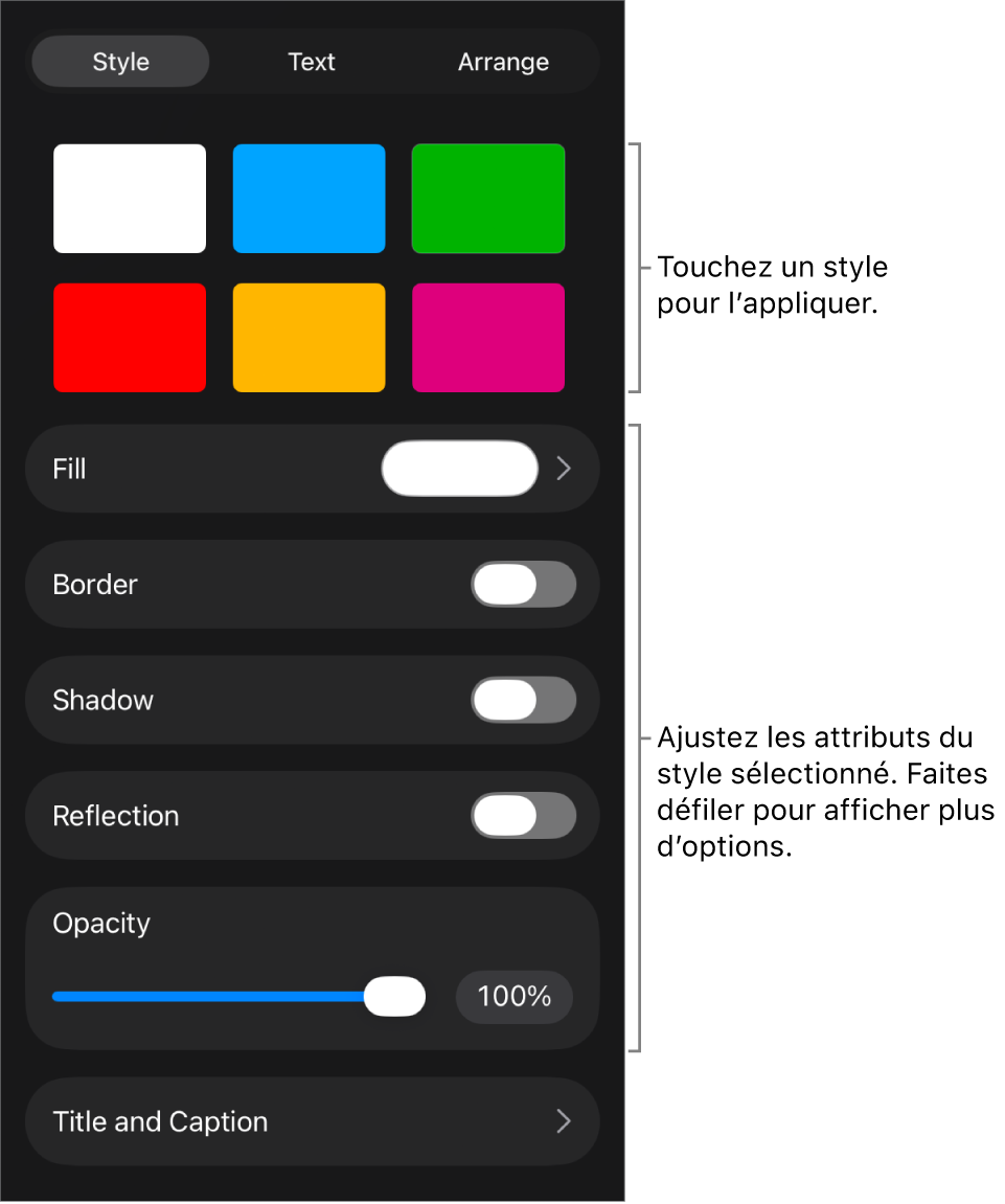 Onglet Style du menu Format avec des styles d’objet en haut et, en dessous, des commandes de modification de bordure, d’ombre, de reflet et d’opacité.