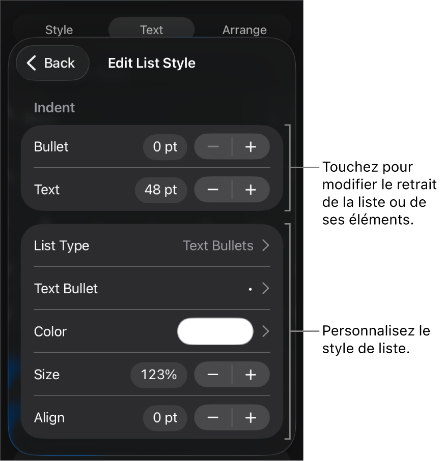 Menu Style de liste avec les commandes pour modifier le type et l’apparence de la liste.