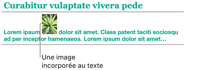 Image incorporée au texte.