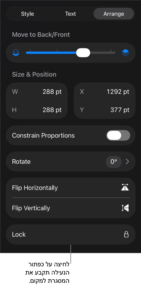 כלי הבקרה של ״ארגון״ בתפריט ״עיצוב עם הסבר לגבי הכפתור ״נעל״.