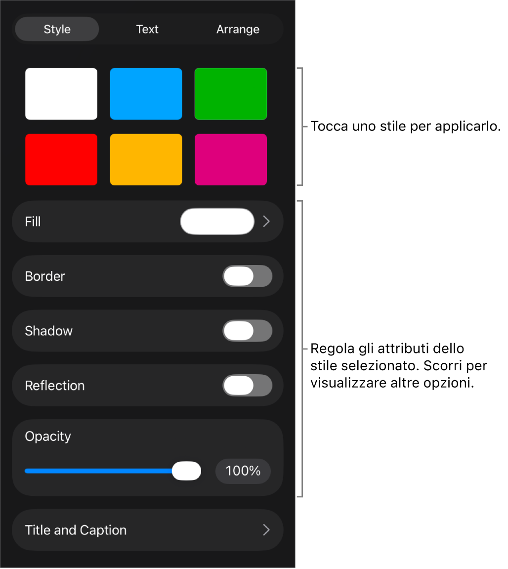 Pannello Stile del menu Formato con gli stili dell’oggetto in alto e un controllo sottostante per cambiare bordo, ombra, riflesso e opacità.