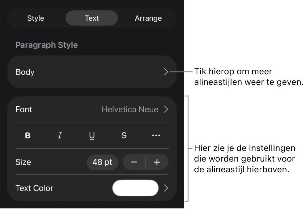 Het opmaakmenu met tekstregelaars voor het instellen van alinea- en tekenstijl, lettertype, lettergrootte en kleur.