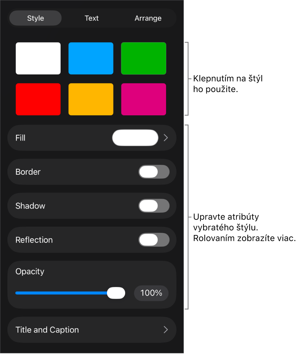 Záložka Štýl menu Formát so štýlmi objektov v hornej časti a ovládacími prvkami pod nimi s možnosťou zmeny okraja, tieňa, odrazu a priehľadnosti.