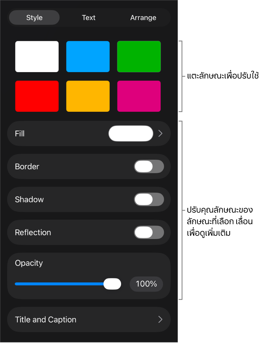 แถบลักษณะของเมนูรูปแบบที่มีลักษณะวัตถุอยู่ด้านบนสุดและตัวควบคุมสำหรับเปลี่ยนเส้นขอบ เงา การสะท้อน และความทึบ อยู่ด้านล่าง