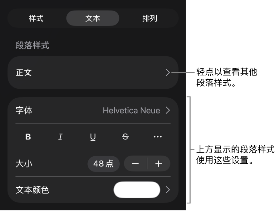 显示文本控制的“格式”菜单,用于设定段落和字符样式、字体、大小和颜色。