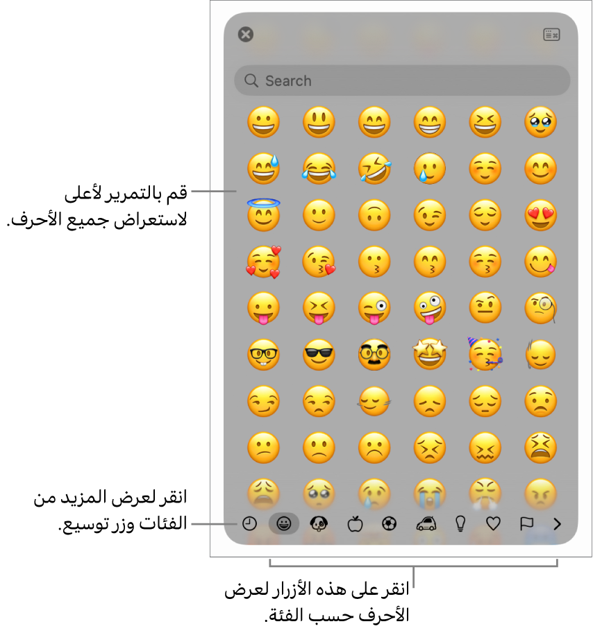 نافذة الأحرف الخاصة وتعرض رموز المشاعر وأزرارًا لأنواع مختلفة من الرموز في الجزء السفلي، ووسيلة شرح لزر لعرض نافذة الأحرف بالكامل.