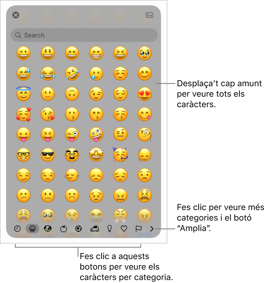 La finestra emergent “Caràcters especials”, amb emoticones, botons per a diversos tipus de símbols a la part inferior i una llegenda d’un botó per mostrar la finestra “Caràcters especials” completa.