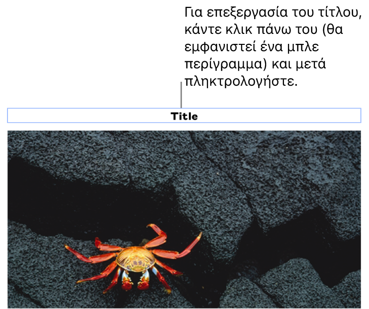 Ο τίτλος δεσμευτικού θέσης, «Τίτλος», εμφανίζεται κάτω από μια φωτογραφία. Μια μπλε περιγράμμιση γύρω από το πεδίο του τίτλου δείχνει ότι είναι επιλεγμένος.