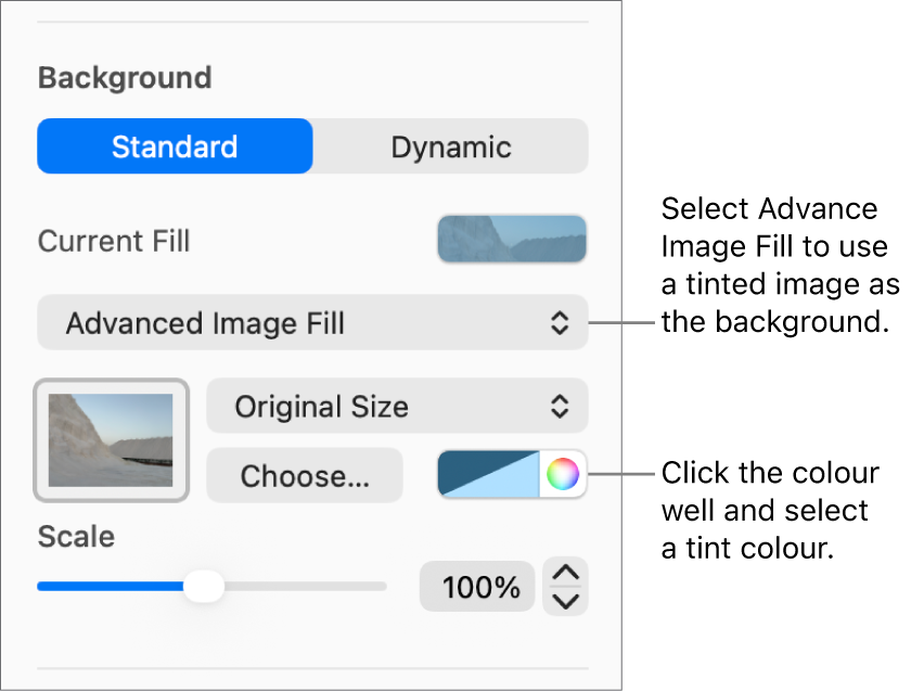 The Background controls with a tinted Advanced Image Fill set as the slide background.