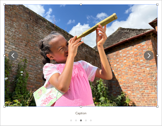 An image gallery object containing five images, with a caption below it and navigation arrows on the left and right sides of the image.