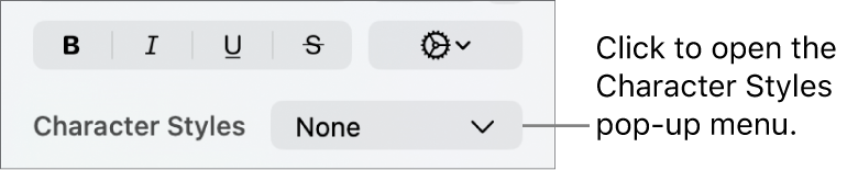 The Character Styles pop-up menu below controls for changing the text style and colour.