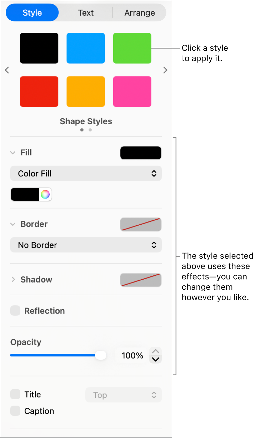 Shape styles and options in the Format section of the sidebar.