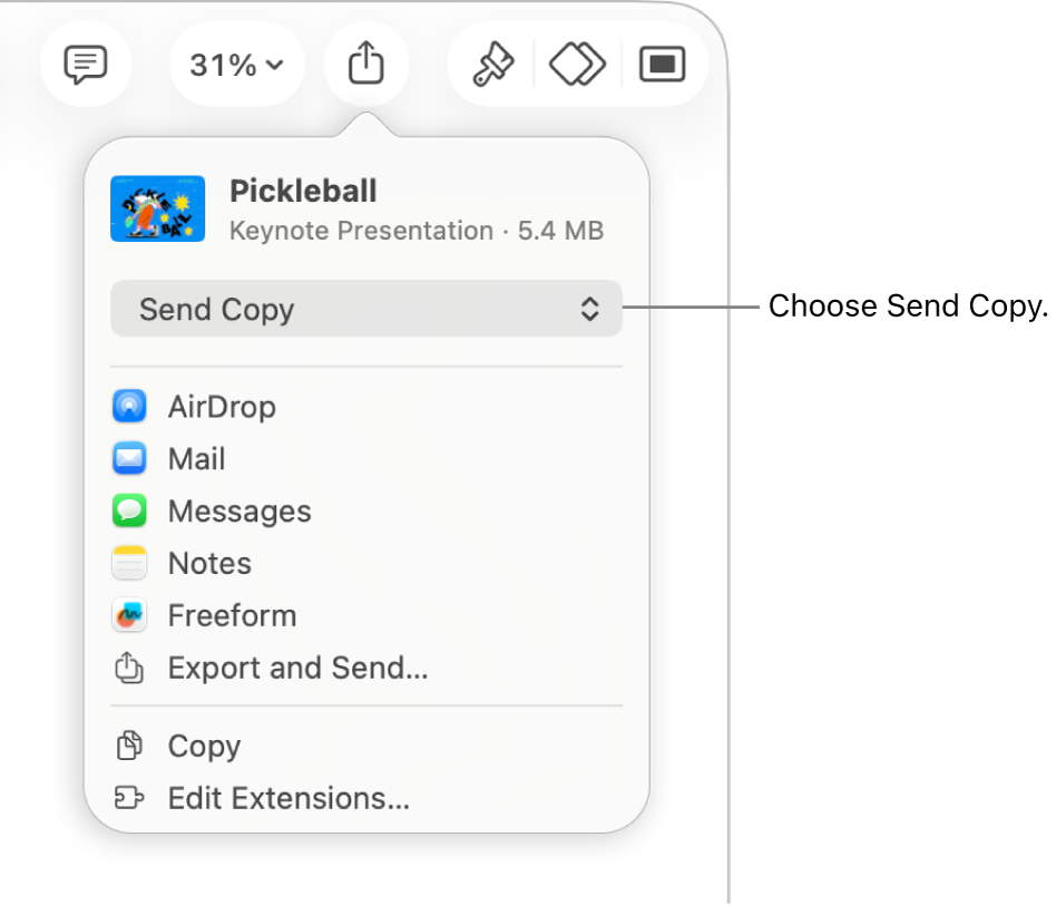 The Share menu with Send Copy selected at the top.