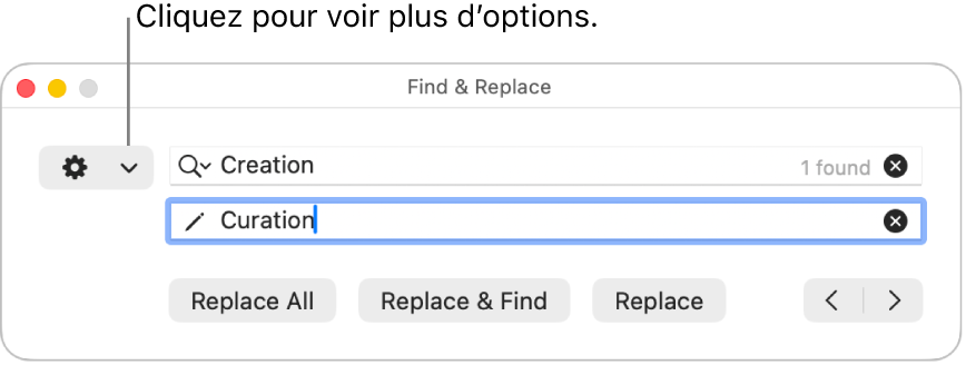 La fenêtre Rechercher et remplacer accompagnée d’une légende pour le menu contextuel qui affiche plus d’options.
