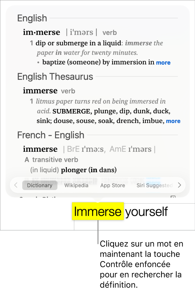 Un texte avec un mot surligné et une fenêtre contenant sa définition et des synonymes. Deux boutons en bas de la fenêtre fournissent des liens vers le dictionnaire et vers Wikipédia.