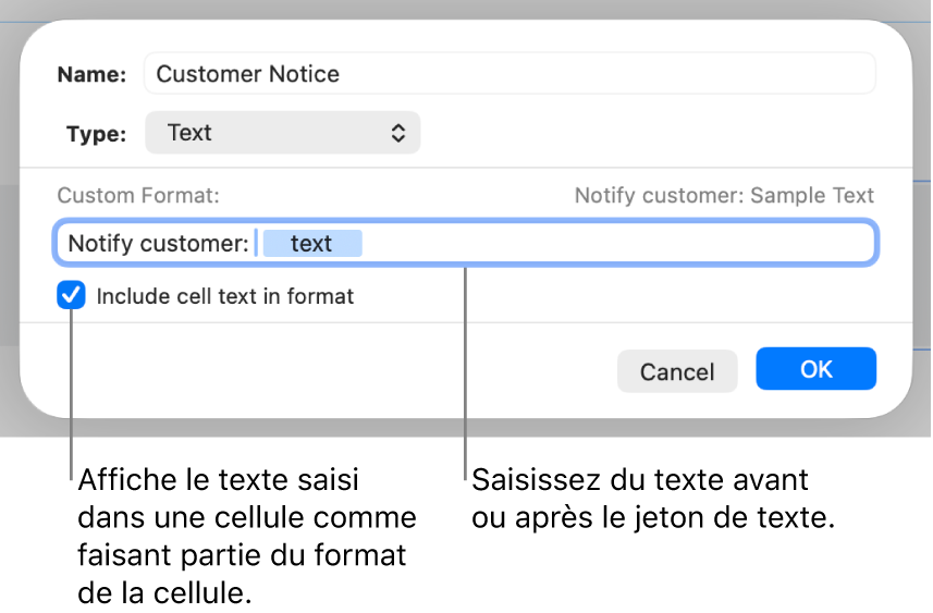 Format de cellule texte personnalisé.