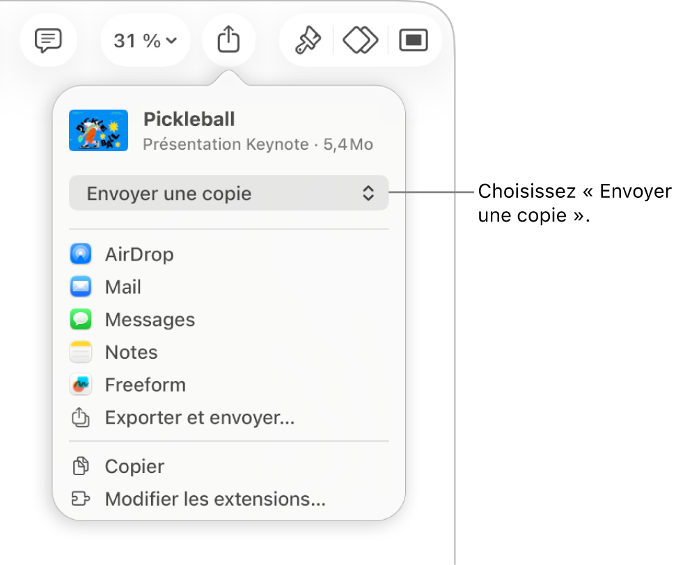 Le menu Partager avec l’option Envoyer une copie sélectionnée en haut.