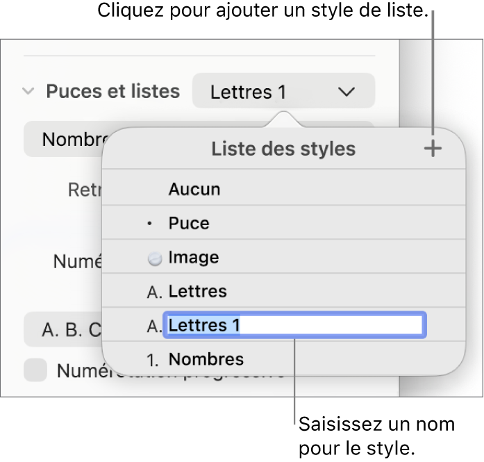 Menu local « Styles de liste » avec un bouton Ajouter dans le coin supérieur droit et un nom de style de paramètre fictif dont le texte est sélectionné.