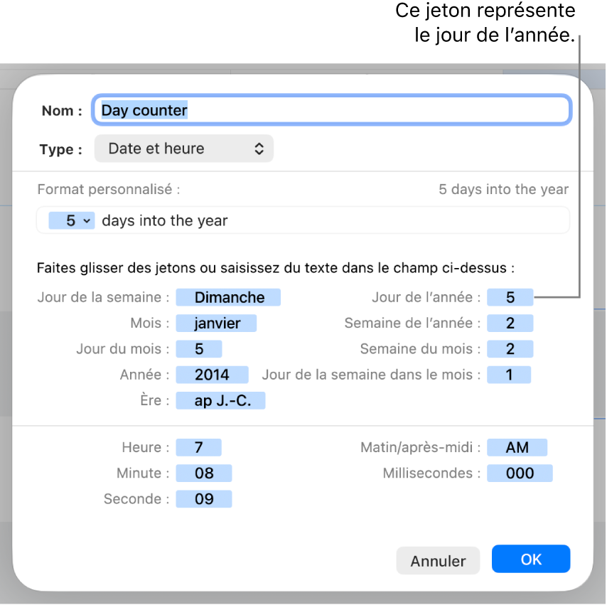 Fenêtre de format de cellule personnalisé présentant les commandes permettant de créer un format de date et d’heure personnalisé.
