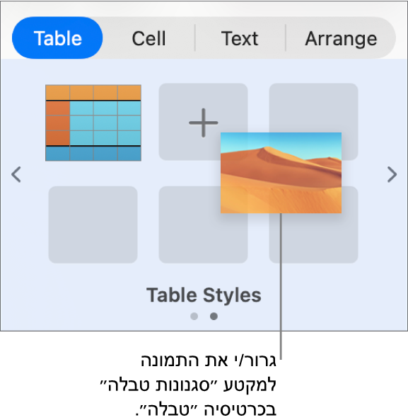 גרירת תמונה לסגנונות הטבלה כדי ליצור סגנון חדש.