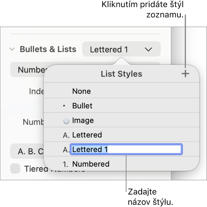 Vyskakovacie menu Štýly zoznamu s tlačidlom Pridať v pravom hornom rohu a názvom vzorového štýlu s označeným textom.